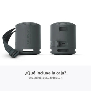 Parlante Sony XB100