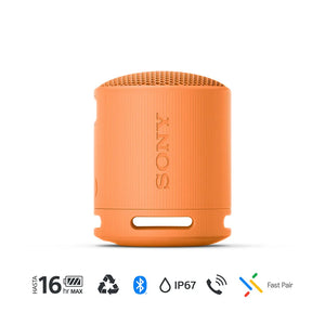 Parlante Sony XB100