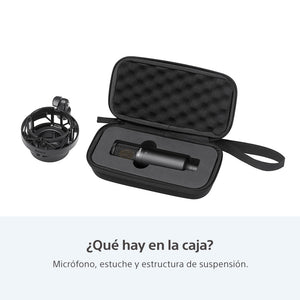 Micrófono condensador unidireccional de estudio C-80