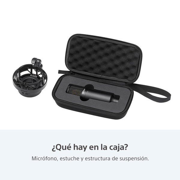Micrófono condensador unidireccional de estudio C-80